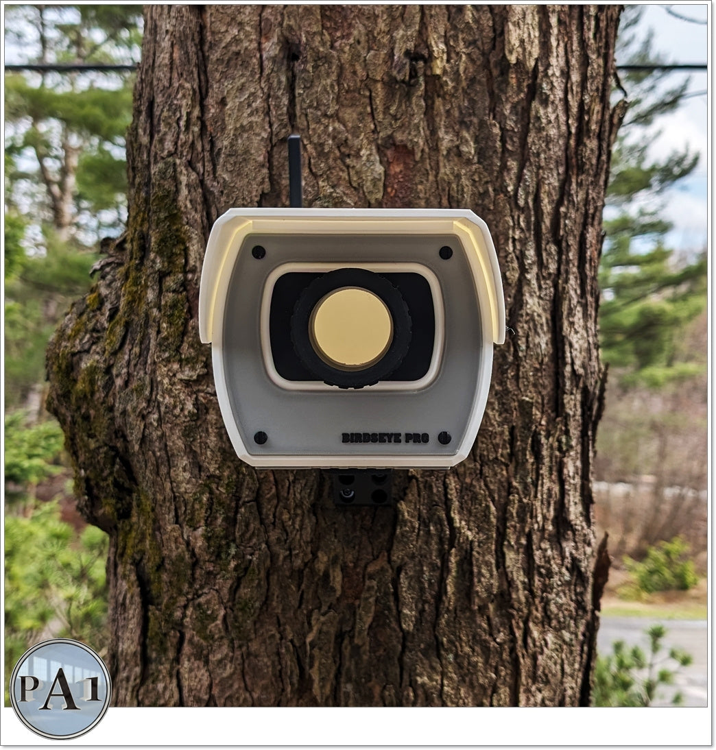 Security Camera Bird House
