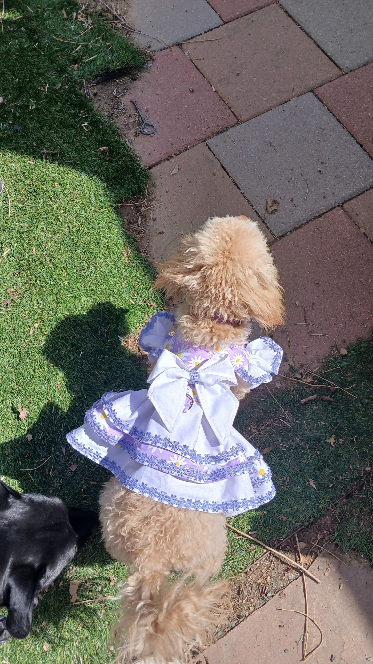 Princess Dog Dress