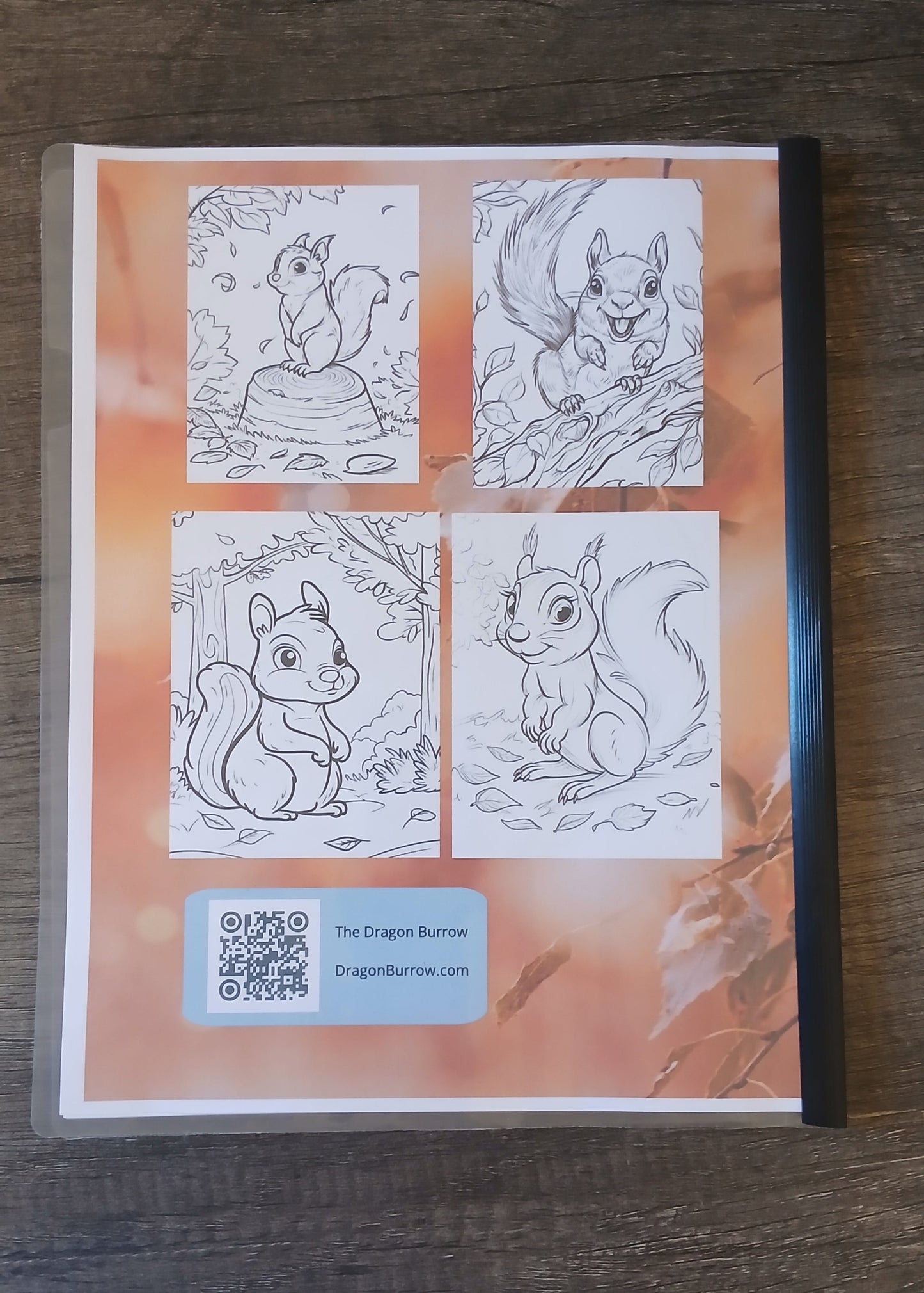 Squirrels Only Coloring Book