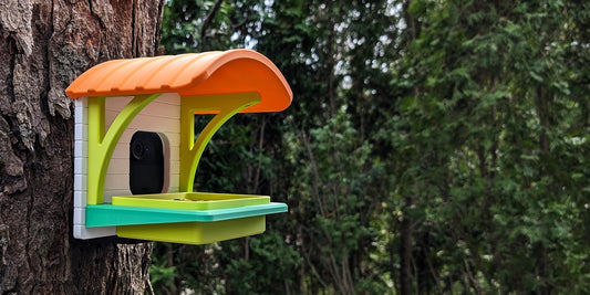 Classic Bird Feeder | Blink Camera Compatible | Custom Colors