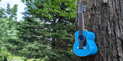 Guitar Bird House