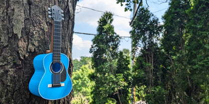 Guitar Bird House