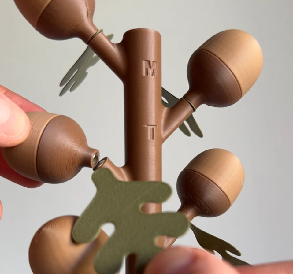 Vitamin Oak Acorn Storage