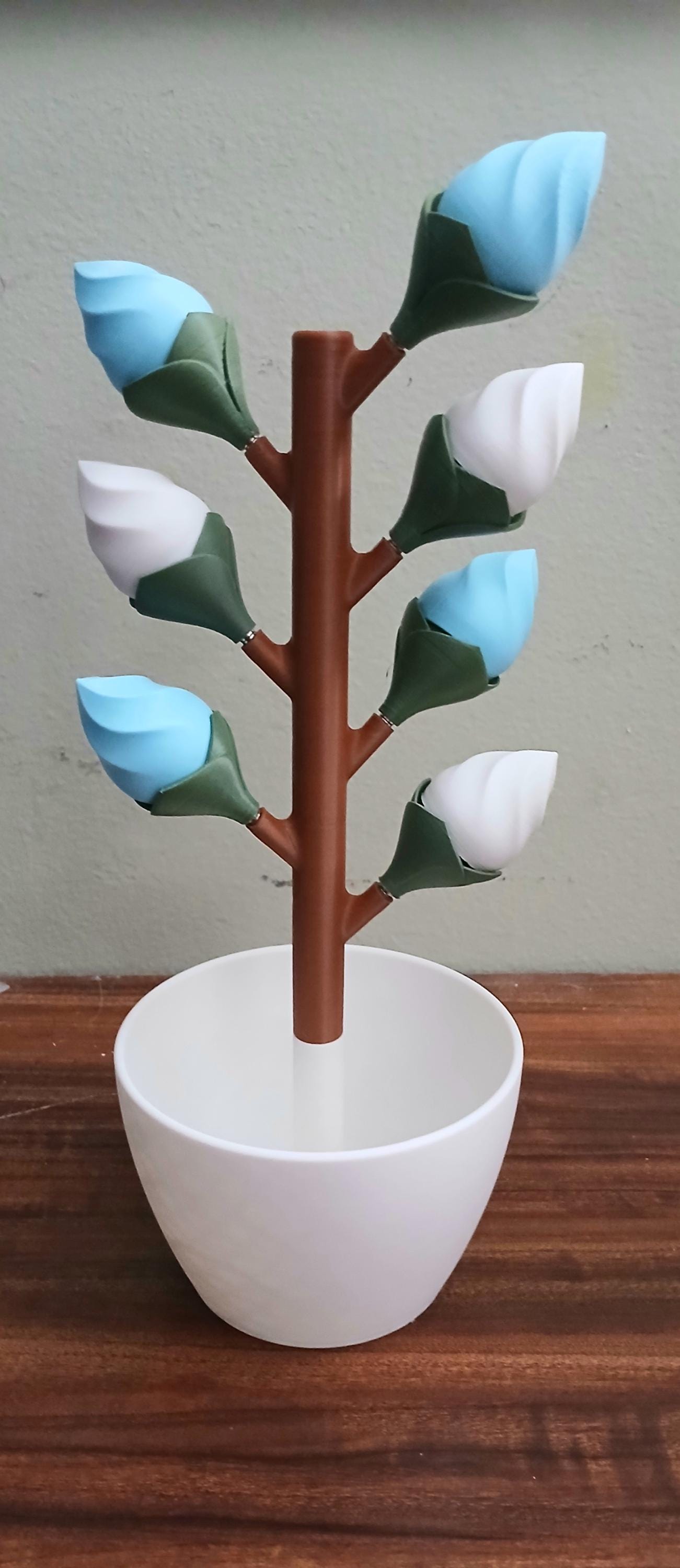 Budsy Flower Pill Bud Replacement Organizer | 3D Printed Weekly Medication Box | Magnetic Bloom Flowers