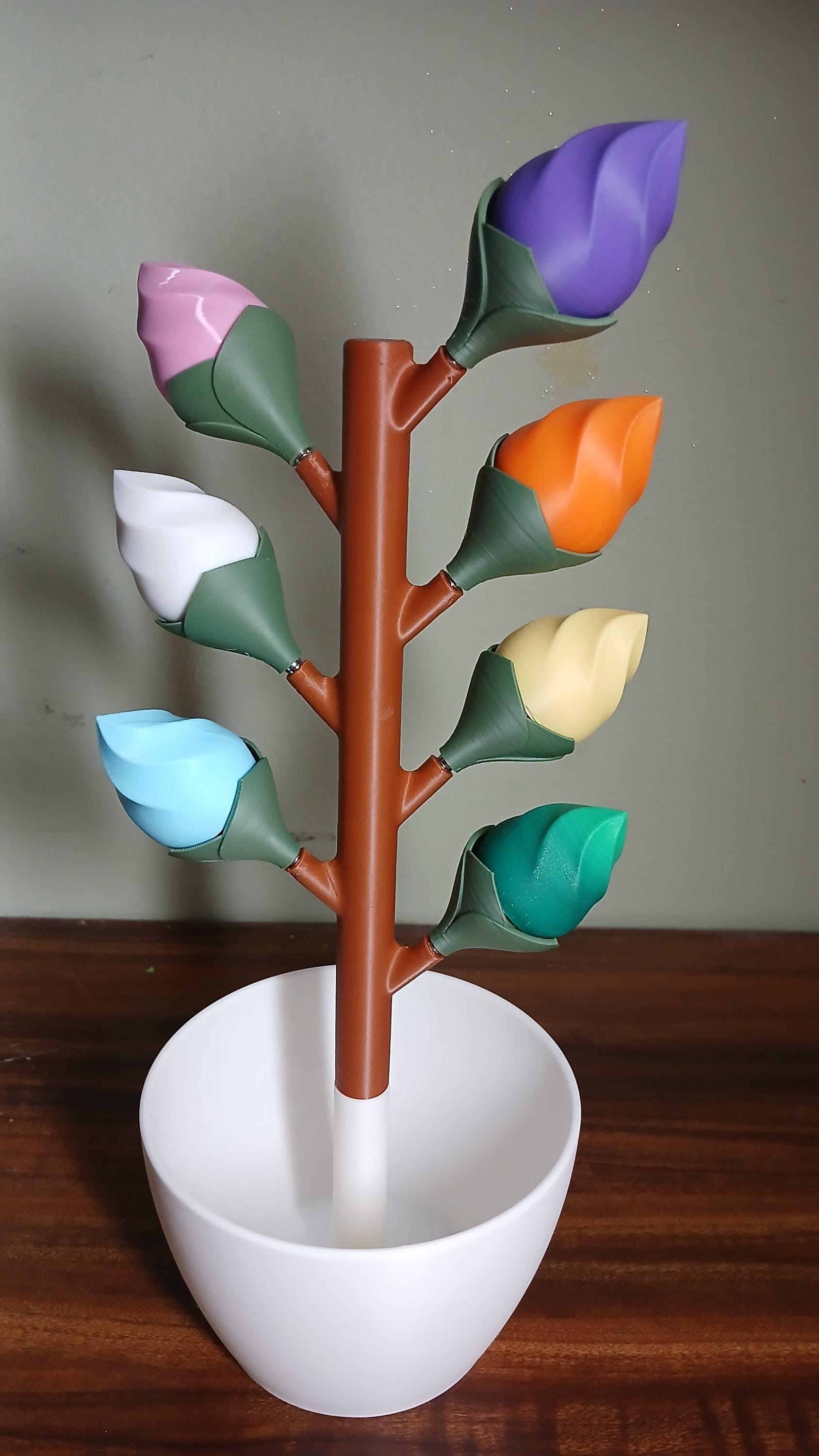 AM PM Budsy Flower Pill Organizer | 3D Printed Weekly Medication Box | Magnetic Bloom Flowers