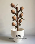 Oak Acorn Flower Pill Organizer | 3D Printed Weekly Medication Box | Magnetic Bloom Flowers