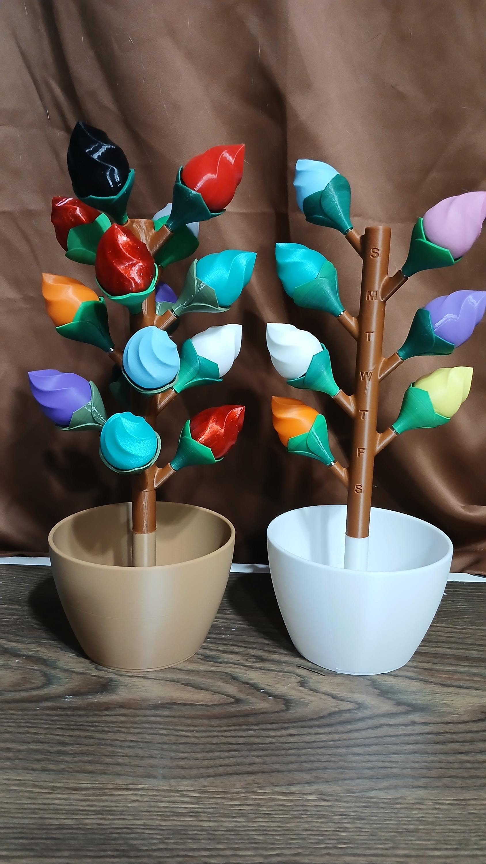 Large AM PM Budsy Flower Pill Organizer | 3D Printed Weekly Medication Box | Magnetic Bloom Flowers