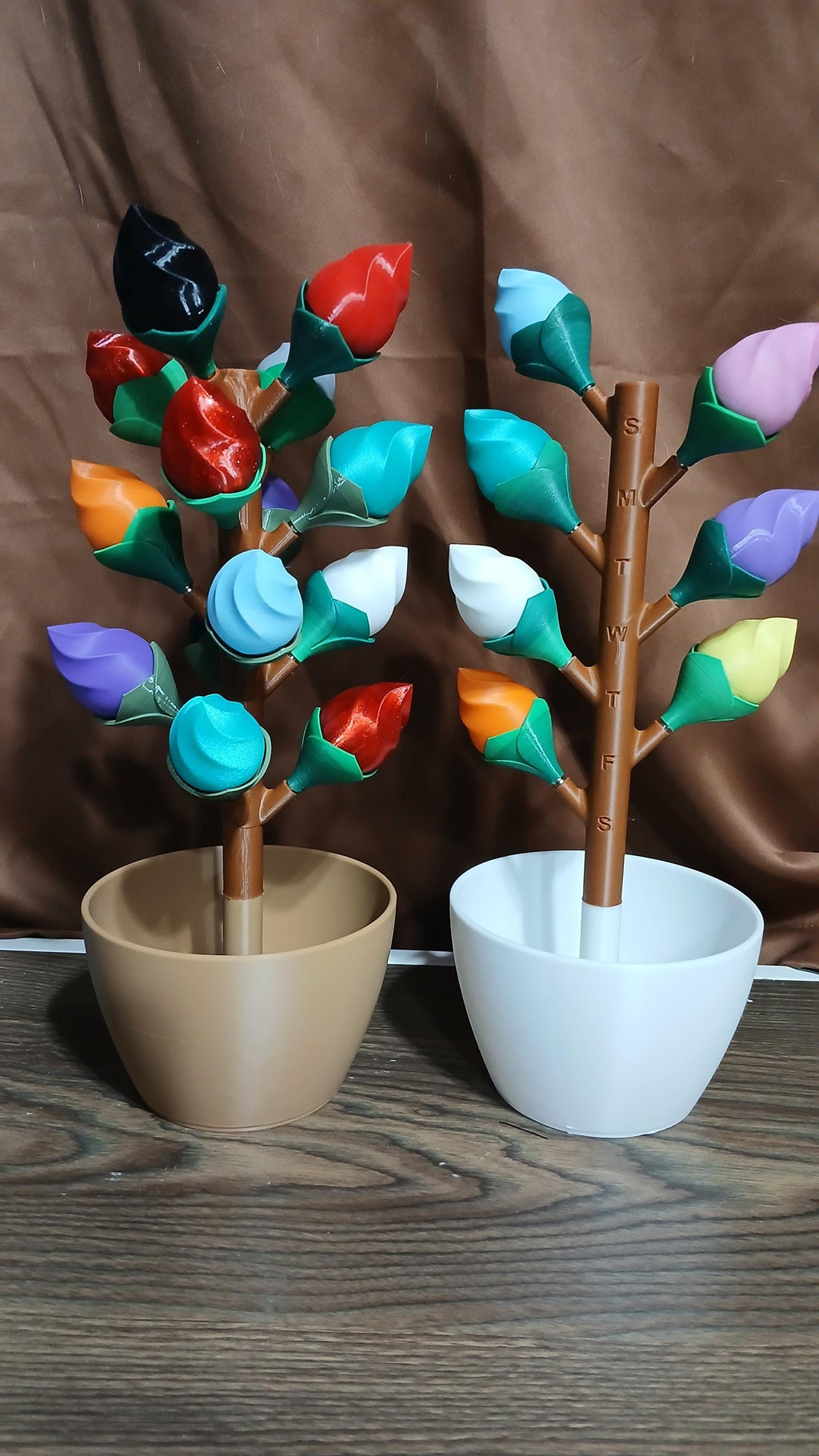 AM PM Budsy Flower Pill Organizer | 3D Printed Weekly Medication Box | Magnetic Bloom Flowers