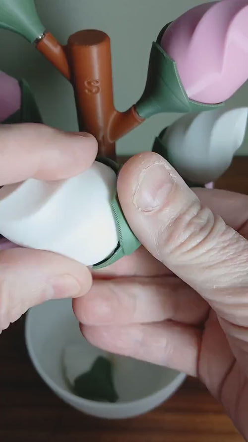 AM PM Budsy Flower Pill Organizer | 3D Printed Weekly Medication Box | Magnetic Bloom Flowers