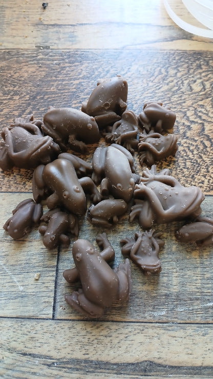 Chocolate Frogs Wax Melts
