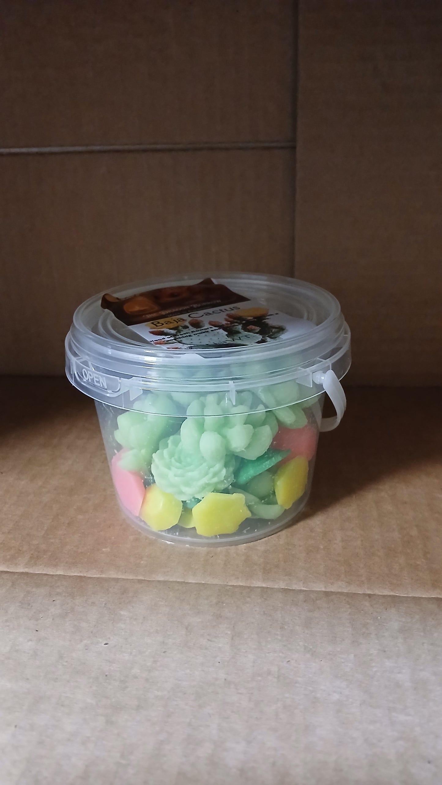 Baja Cactus Wax Melts