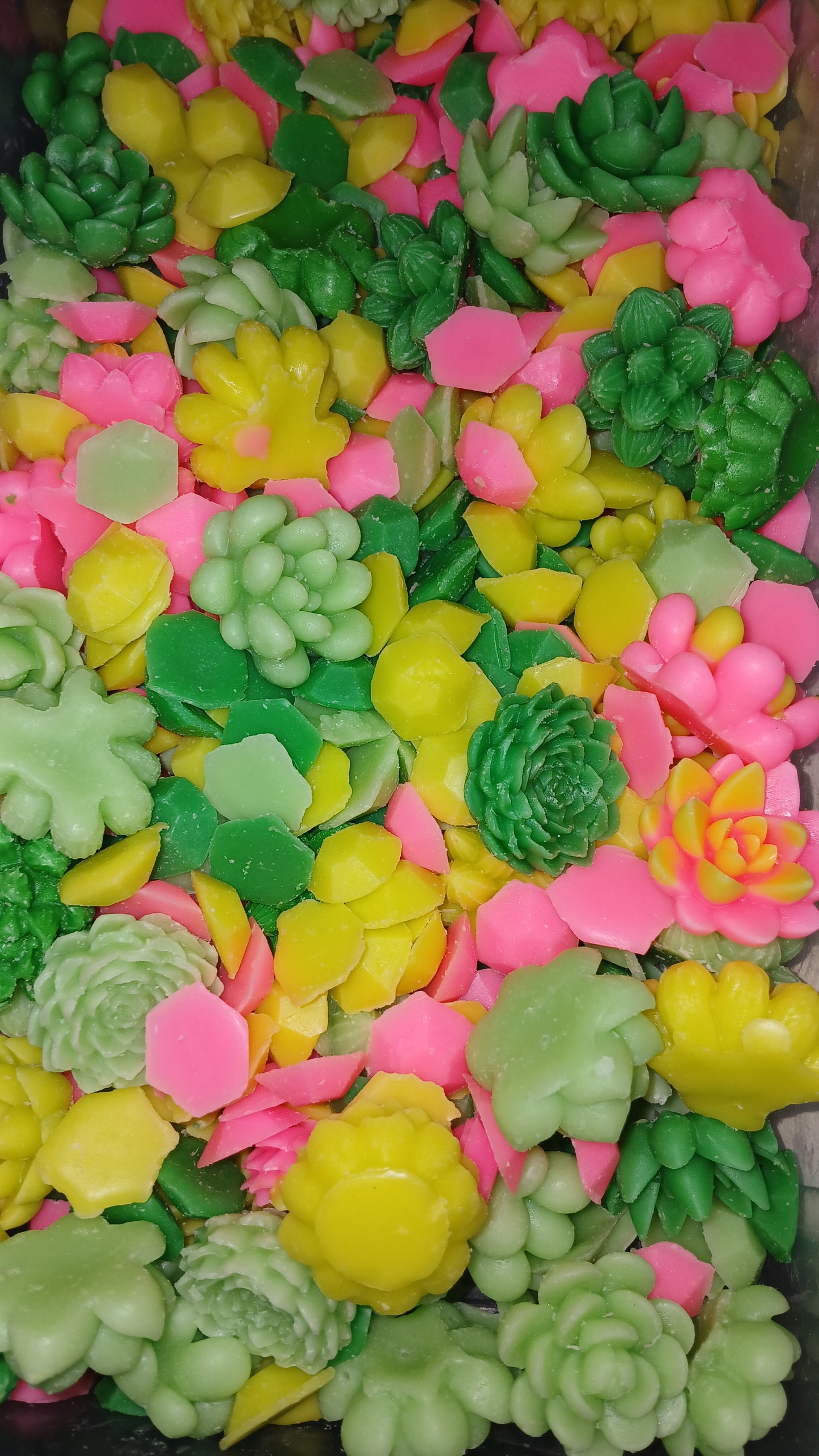 Baja Cactus Wax Melts