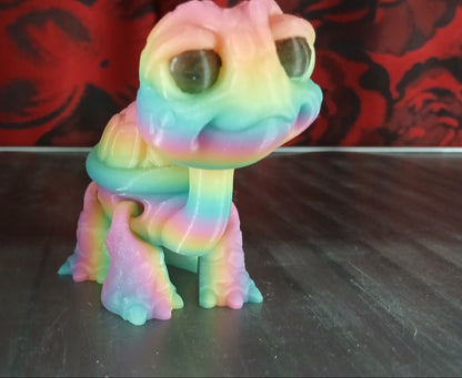 Cutie Tortoise